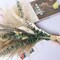 Dried Pampas Grass Boho Bouquet, Exquisite Lavender and Eucalyptus Dried Flower Arrangements for Western Boho Decor, Rustic Flowers